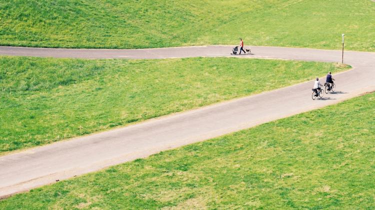 Tutto quello che devi sapere per pedalare nei parchi